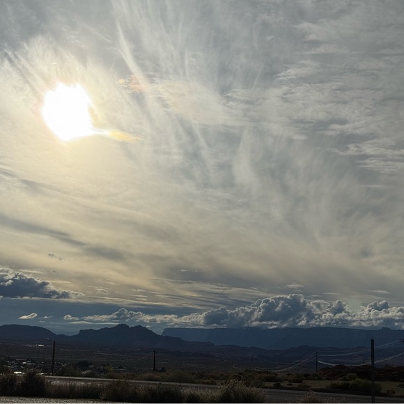 Meet your Posher, Emma - Picture 1 of 1